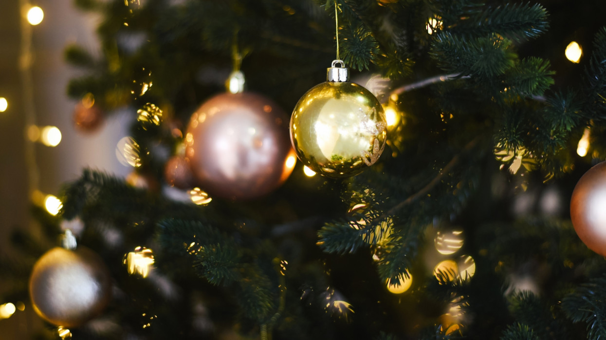 Egyre több magyar mond le az igazi karácsonyfáról: ezt veszik inkább a méregdrága fenyő helyett