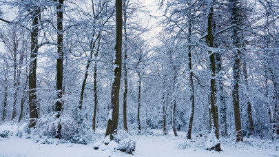 Halálos veszély a magyar erdőkben: erről is a havazás tehet
